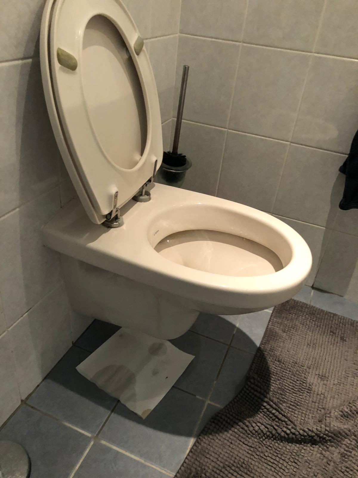hangtoilet Wassenaar